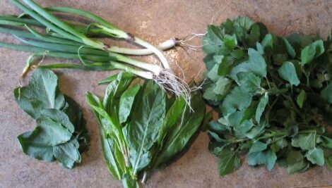 Good Friday Wild Stir Fry Image